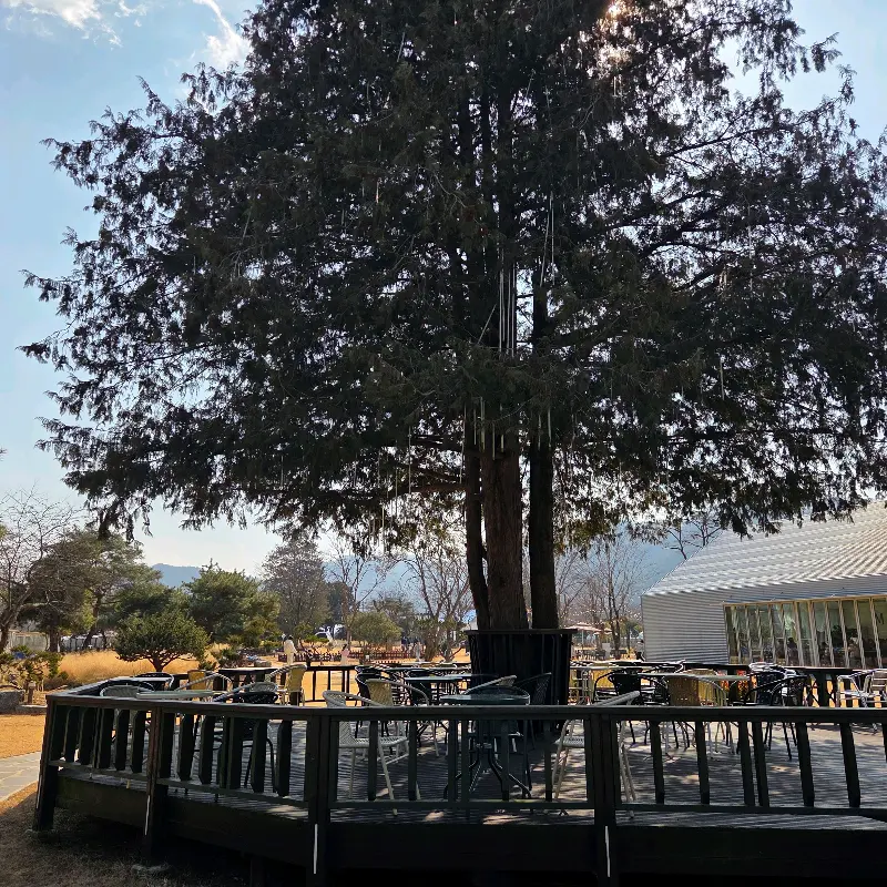 카페 외부 전경