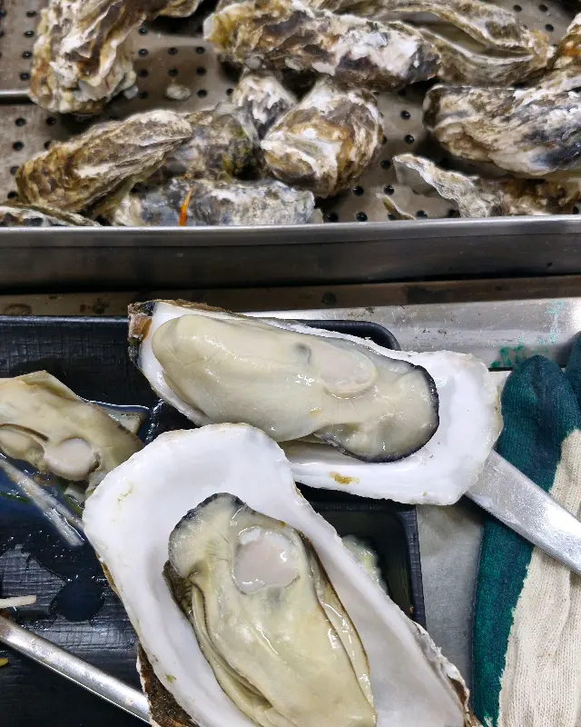 신선함이 그대로 느껴지는 굴의 모습