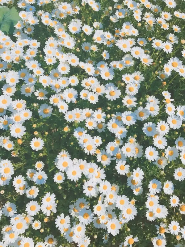 모뉴에트 주변 풍경