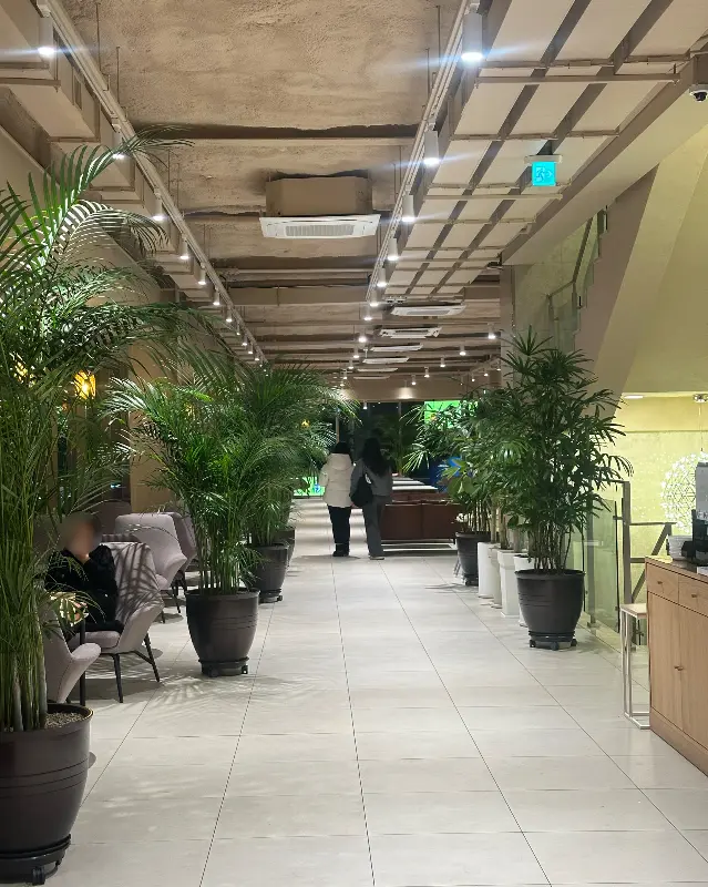 카페 내부의 푸른 식물 인테리어