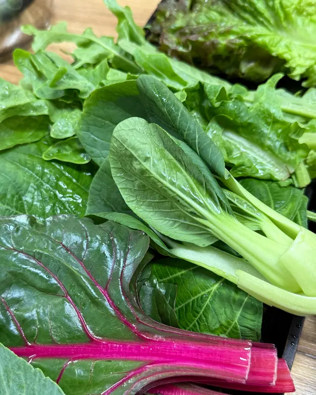 싱싱한 쌈 채소