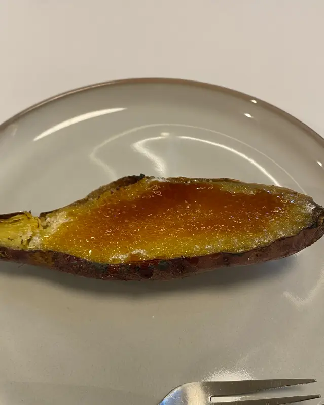 다채로운 메뉴 구성