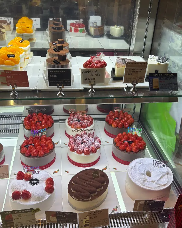 쇼케이스 안의 다채로운 케이크