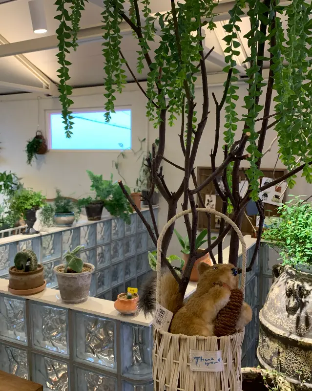 헬로정글 내부 모습