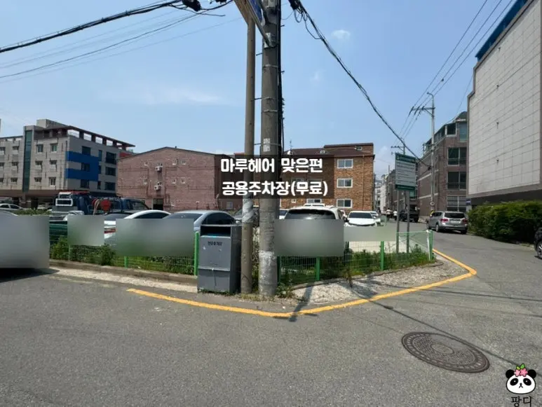 비송민물장어 외부 모습