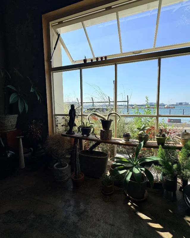 헬로정글 창가 자리