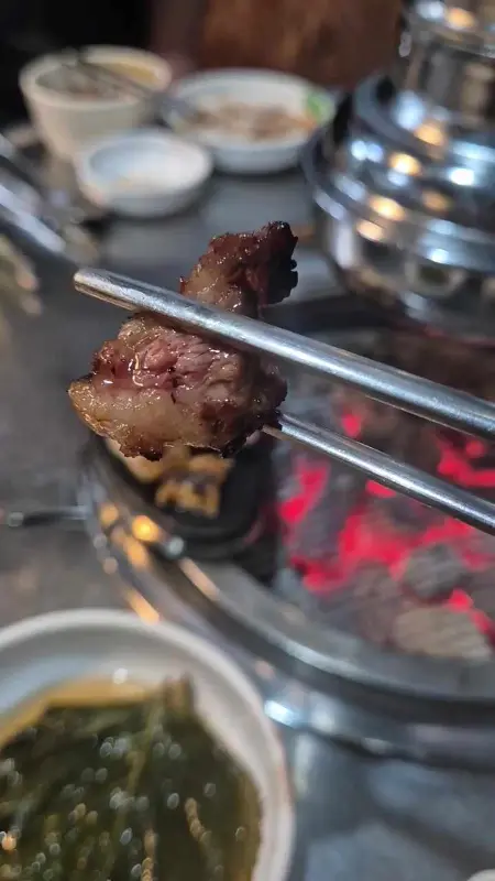 젓가락으로 집은 고기