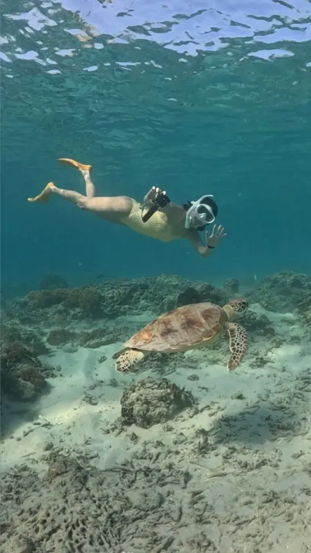 바다에서 스노클링을 즐기는 사람