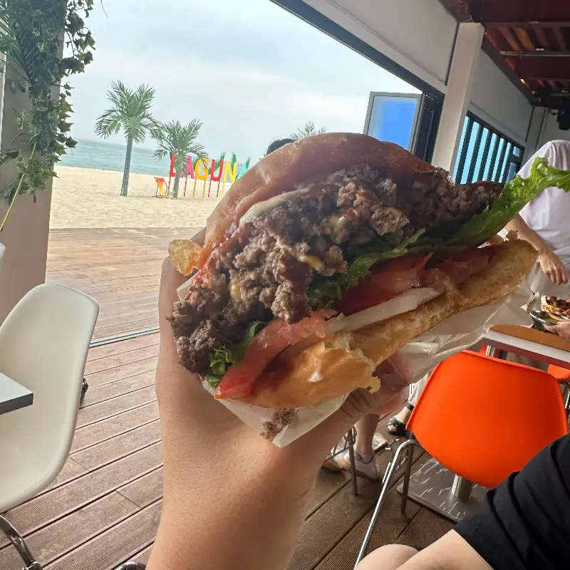 따뜻한 햇살 아래 여유로운 시간