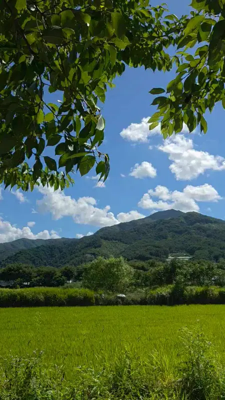 카페에서 바라본 지리산 풍경