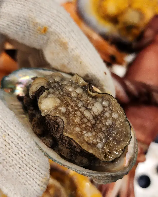 푸짐한 5단 조개찜