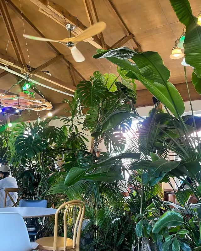 실내를 가득 채운 초록 식물들