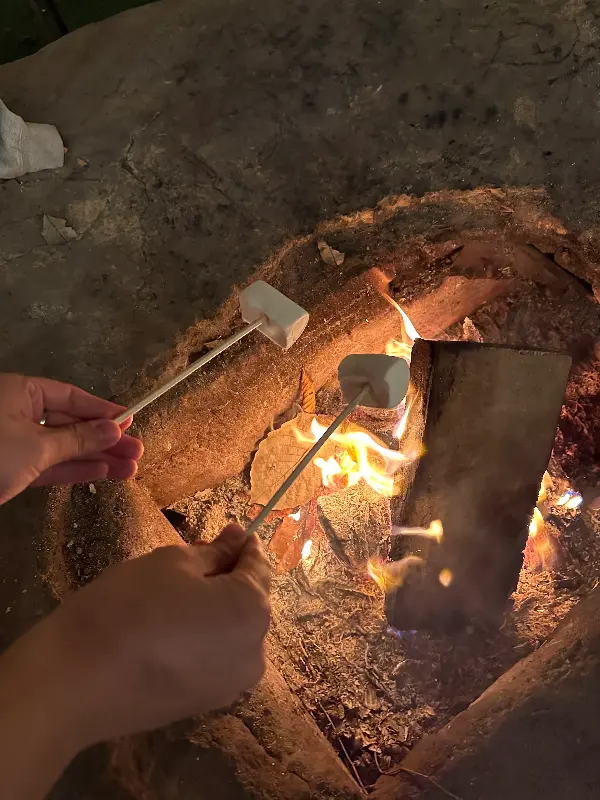 마시멜로우를 구워먹는 사진