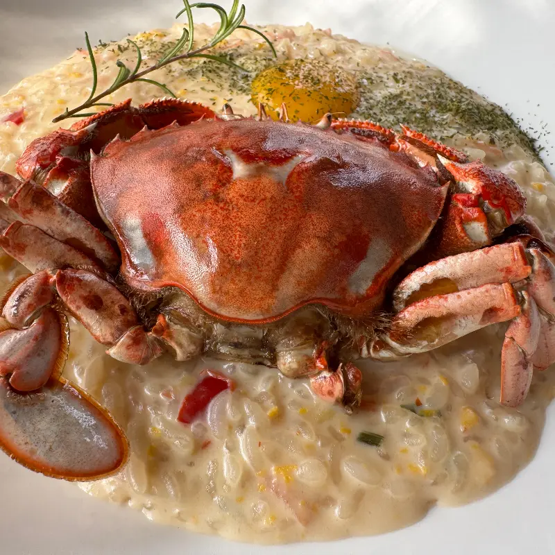 황게 한 마리가 통째로 올라간 황게 크림 리조또