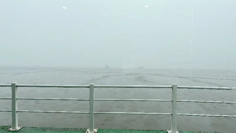 안개 낀 금강 하구의 몽환적인 풍경