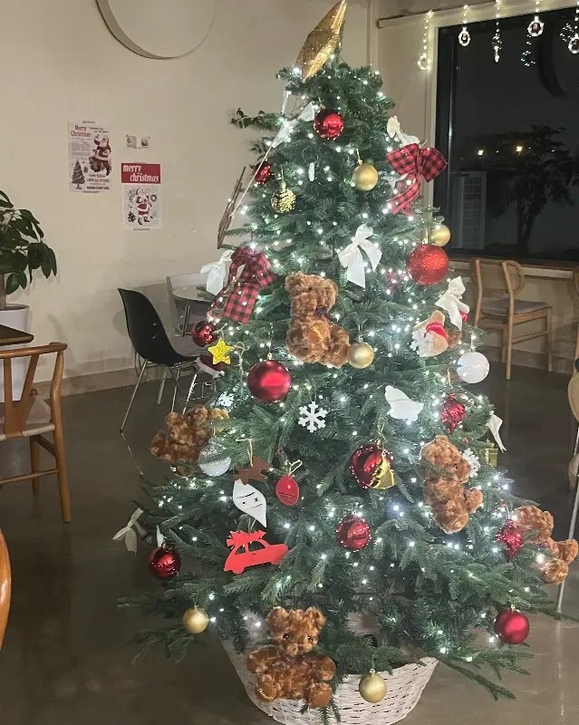 카페 내부 트리