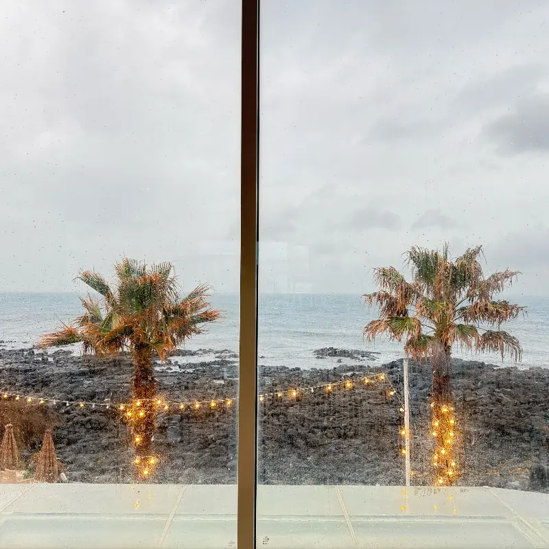 음료와 함께 찍은 바다 사진