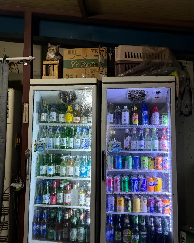 다양한 종류의 술이 가득한 냉장고