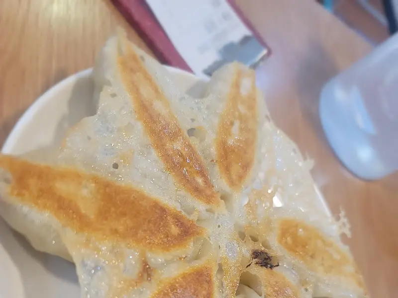 바삭하게 구워진 빙화만두