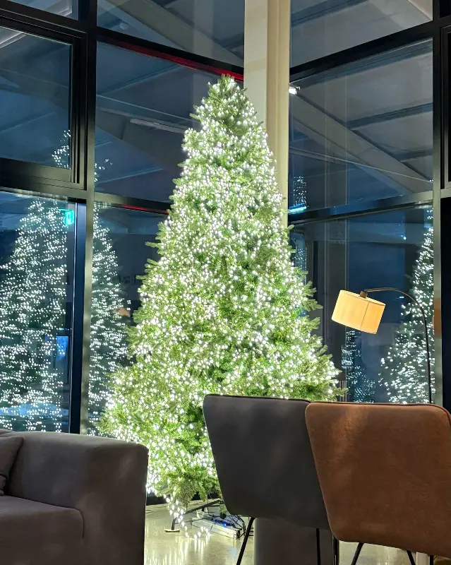카페 내부의 트리