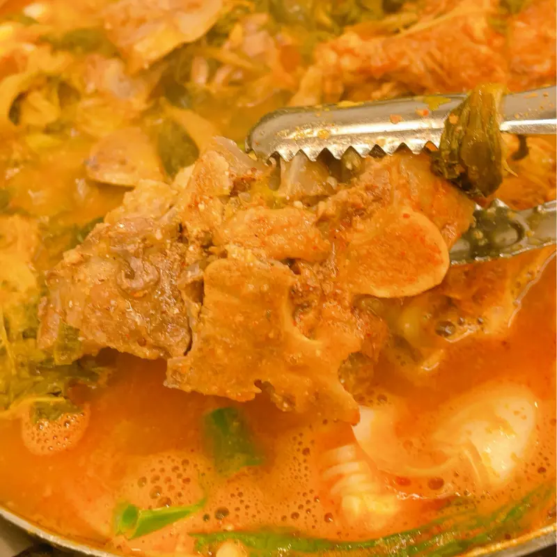 살코기가 듬뿍 붙어있는 뼈