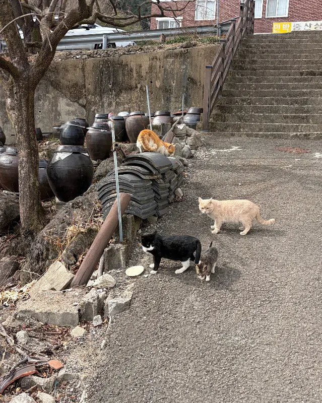 지리산버거 주변 풍경