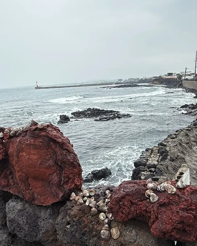 카페 바로 앞에서 바라본 제주 바다 풍경
