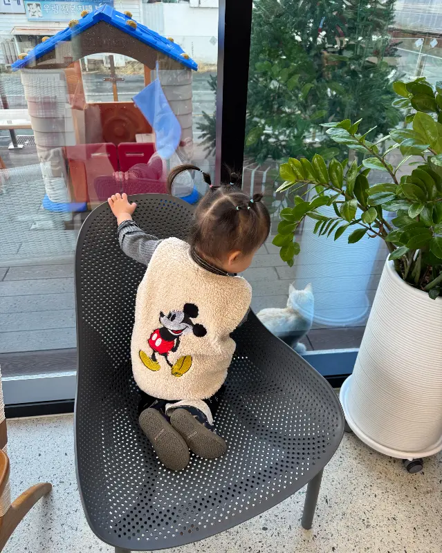 카페 정원의 고양이