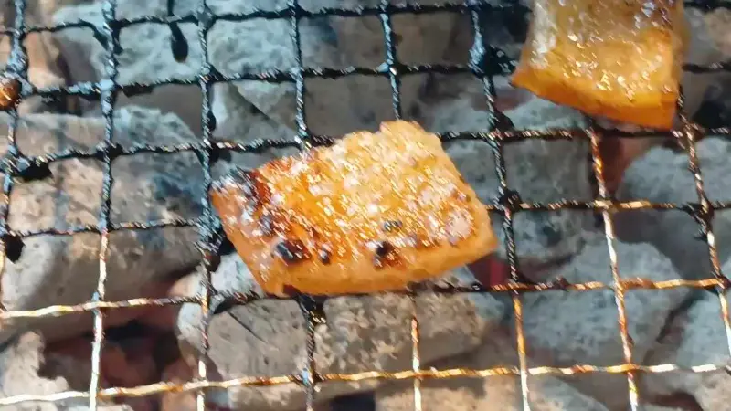 윤기가 흐르는 껍데기의 클로즈업