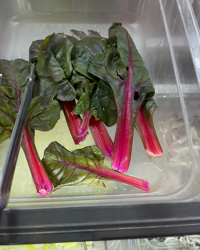 싱싱한 야채 코너