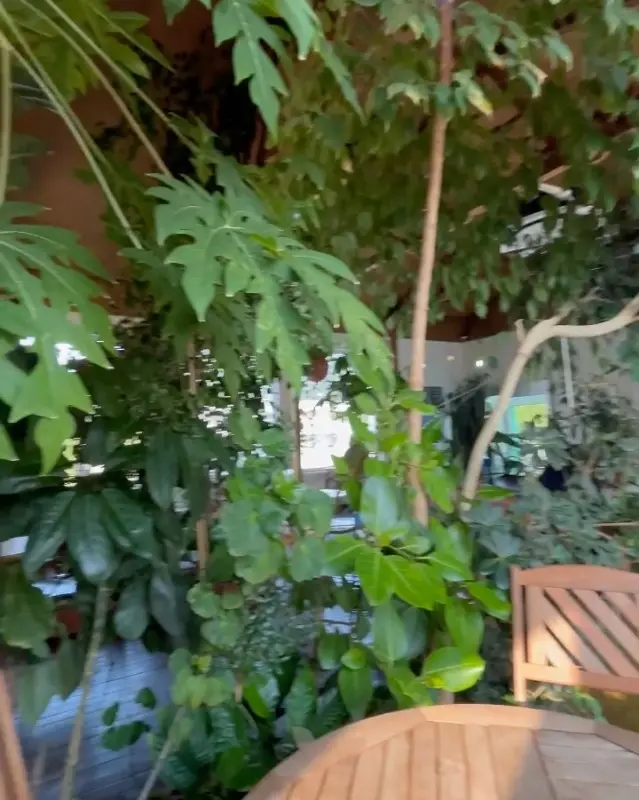 카페 내부를 가득 채운 초록 식물