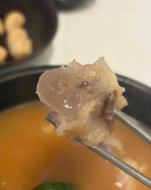 도가니의 탱글탱글한 식감이 느껴지는 사진