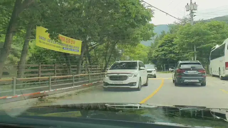 푸르른 녹음이 우거진 길