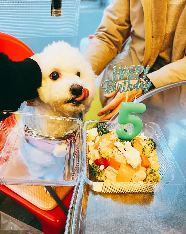 강아지에게 음식을 주고 있는 모습