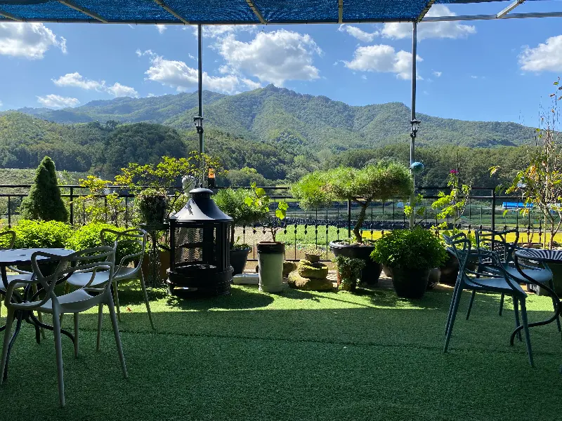 테라스에서 바라본 산 전망