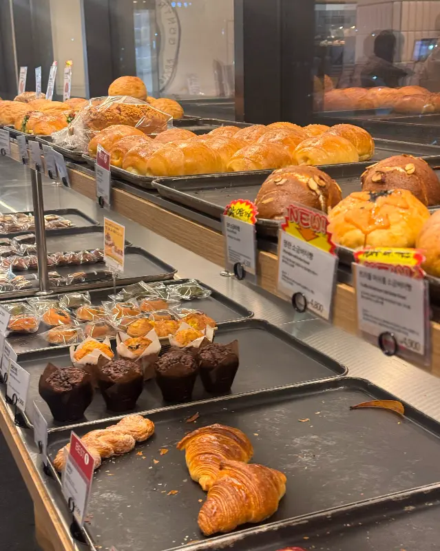 다양한 빵 종류