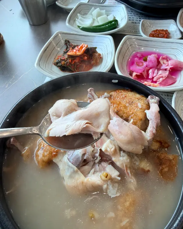 부드러운 닭고기 살점