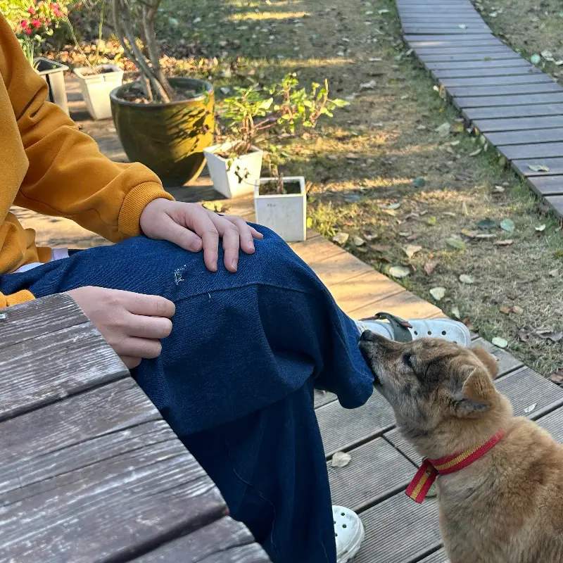 사람을 좋아하는 빠뽕의 강아지