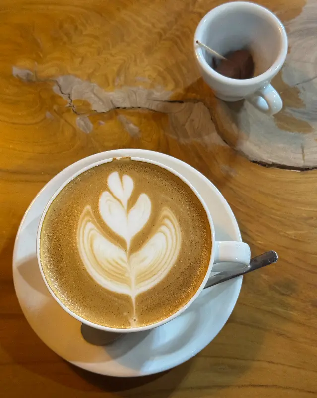 라떼 아트가 예쁜 따뜻한 라떼