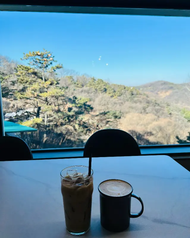 커피와 함께 즐기는 숲 뷰