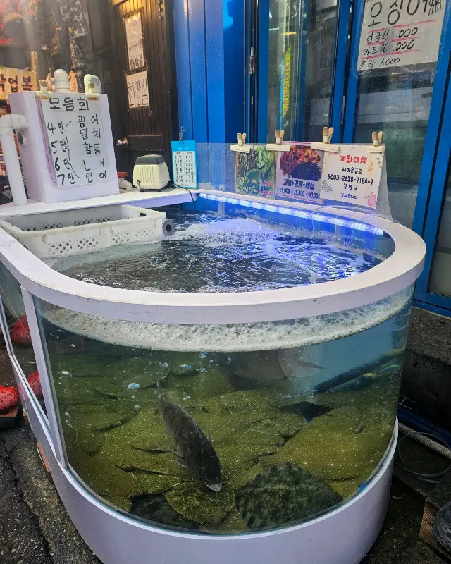 싱싱한 해산물이 가득한 수조