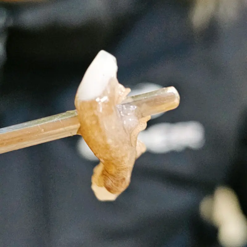 쫀득한 식감이 일품인 회 한 점