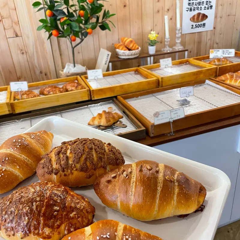 포장해 온 빵들