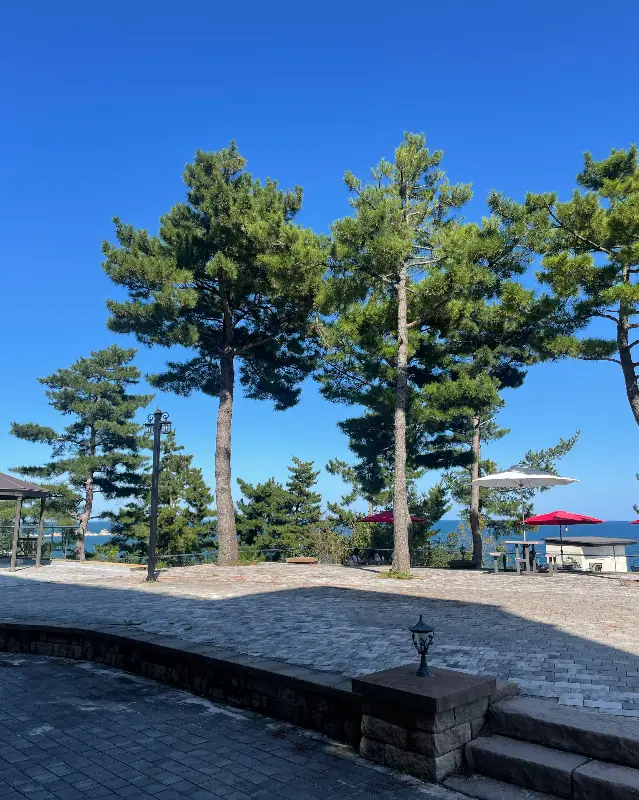 카페 앞 전망대에서 바라본 아야진 해변