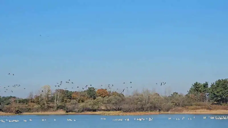 해질녘 빠뽕에서 바라본 백산저수지