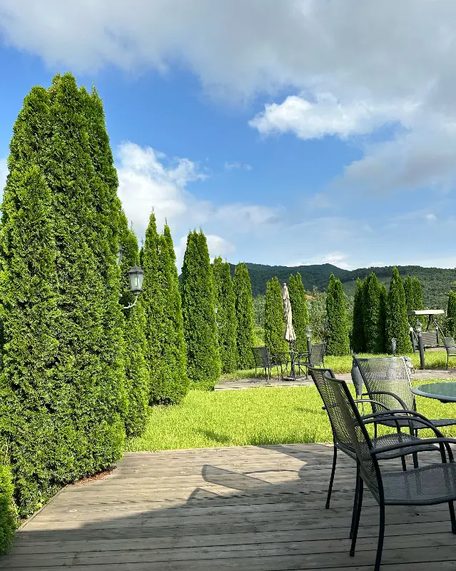 푸른 잔디와 나무가 어우러진 정원