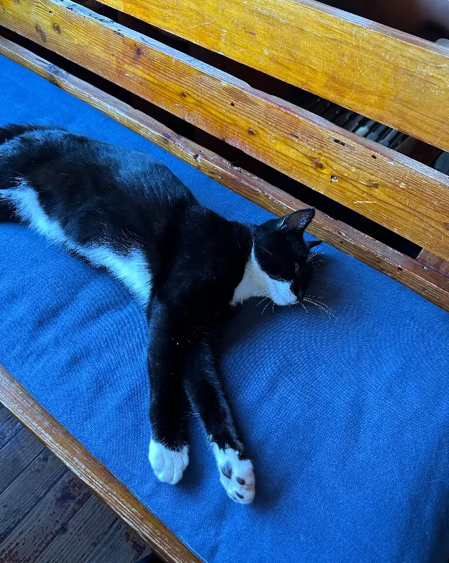 야생화가 만발한 빠뽕 카페 가는 길