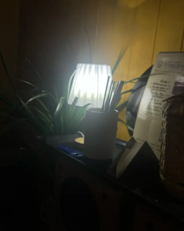 아늑한 분위기의 실내