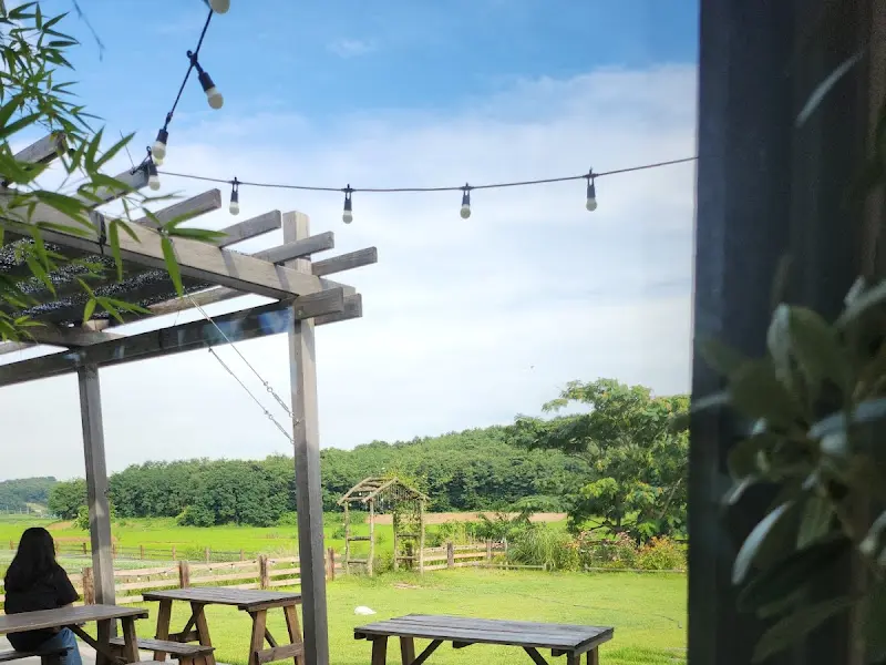 정원에 설치된 테이블과 의자