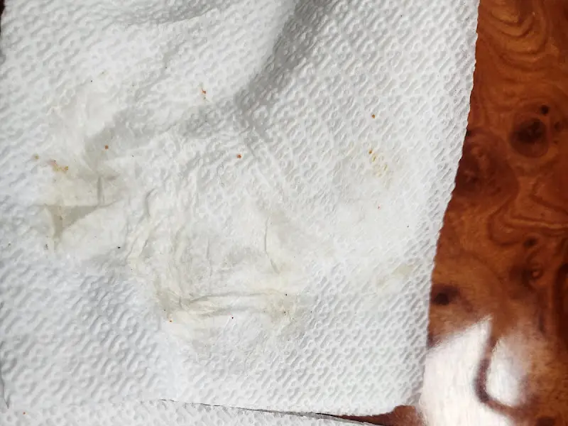 더러운 테이블 냅킨